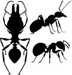 Ant silhouette vector art black and white