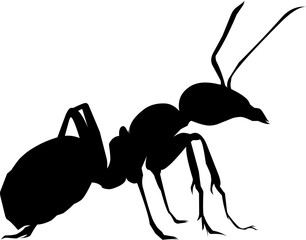 Ant silhouette vector art black and white