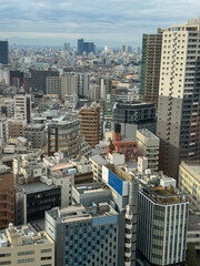 Fototapeta premium VERTICAL: A tightly packed Tokyo neighborhood features a layered mix of residential and commercial buildings, mid-rise towers, and distant skyscrapers, all under a light haze and overcast winter sky.
