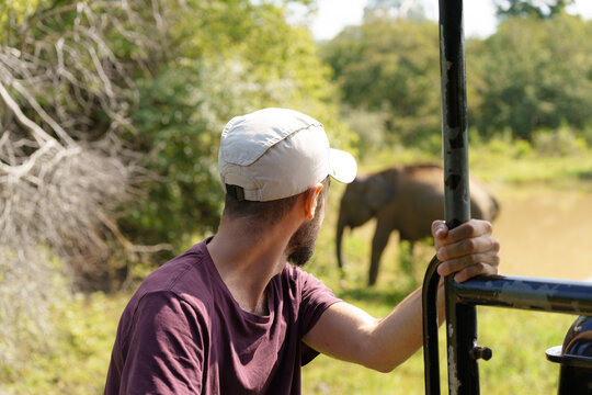 Man watching the elephant behaviour during safari 