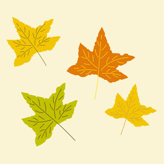 autumn maple leaves design template 