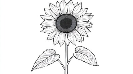 Fototapeta premium Black and White Line Drawing of a Sunflower