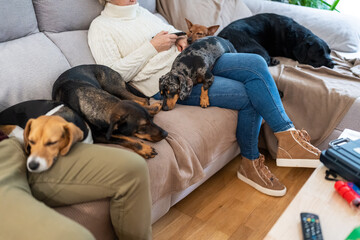 Senior woman relaxing on sofa with sleeping dogs