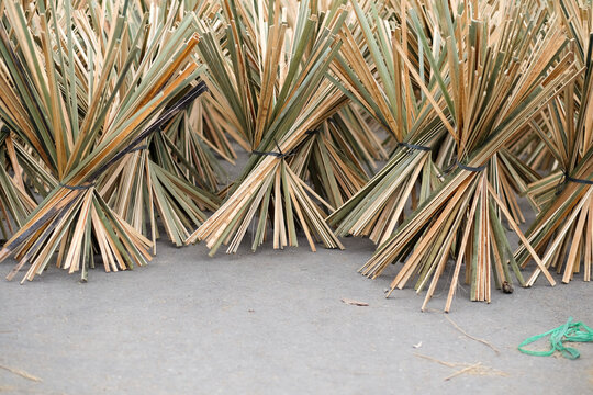  Bundles of Dried Palm Leaves for Handicrafts