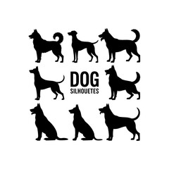 Silhouette group of American dog breeds - puppies, adult dogs - standing, running, hunting, play poses. Black pet animal minimalist icons isolated white background. Stylized, colorful dog silhouettes 