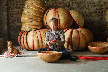 Dedicated Work with a Loyal Companion