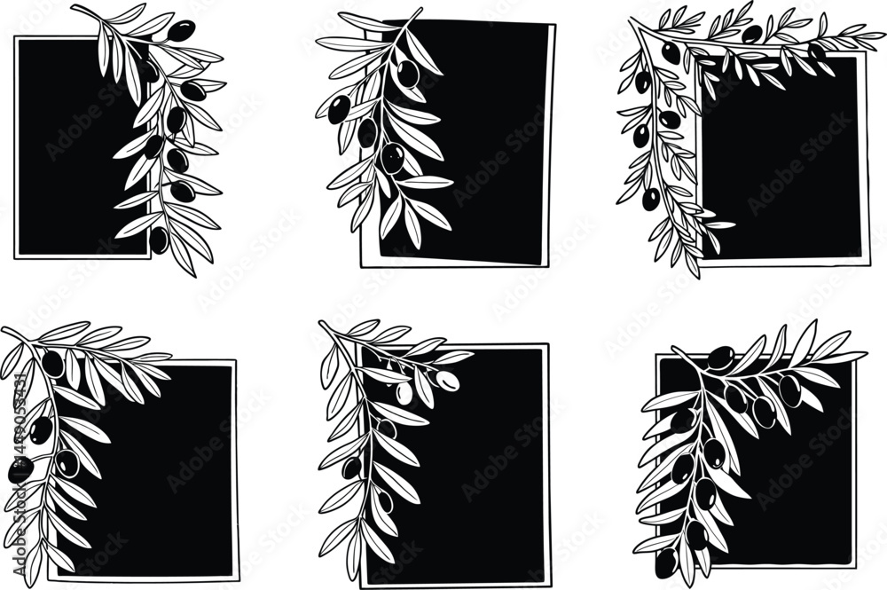 Poster elegant frames with olive branch border graphic elements set
