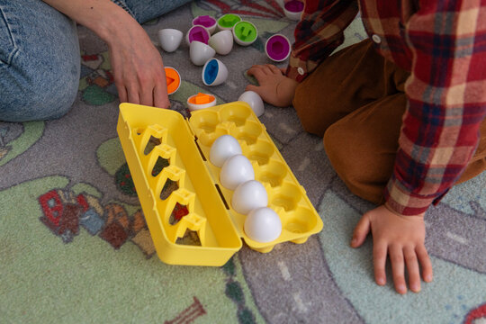 Montessori egg sorter for autism home therapy