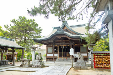 Fototapete bei efototapeten.de bestellen   