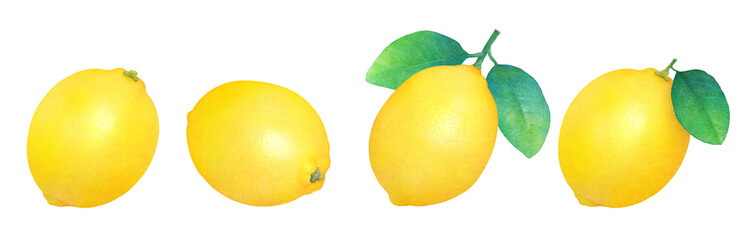 Watercolor fresh lemon with leaf illustration. Whole citrus fruits clipart collection.
