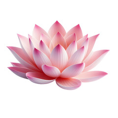 Beautiful pink lotus flower photography zen meditation spa floral bloom nature on transparent background