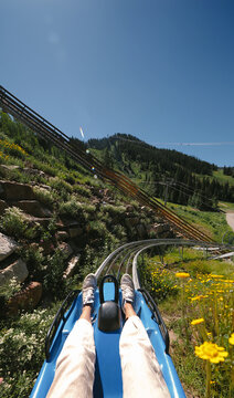 Alpine Mountain Coaster Track at Snowbird Utah During Oktoberfest