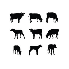 Bull and cow silhouettes with baby calf