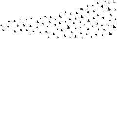 Birds Flying Shape