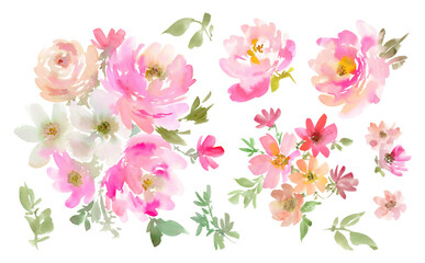 Watercolor Abstract Pink roses, peonies, Wildflowers, and Leaves PNG clipart Set / Hand-Painted Floral illustration collection with transparent background for Spring and summer. © Sawango