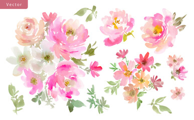 Watercolor Abstract Pink roses, peonies, Wildflowers, and Leaves Vector clipart Set / Hand-Painted Floral illustrations for Spring and summer.