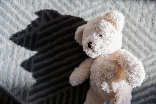 Lost teddy bear on ground