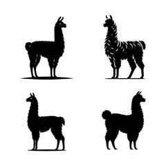 Standing Llama Silhouette Vector Set &ndash; Andean Animal Poses for Farm, Boho, and Nature-Themed Design Projects

