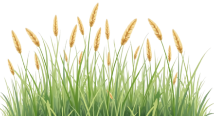 A vibrant, fresh spring green grass lawn edge border, adorned with daisy flowers isolated against a transparent background. Generative ai