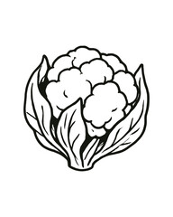 Cauliflower Head Isolated on White Background