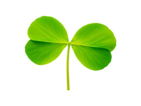 Vibrant Green Clover Leaf Isolated on a transparent background Botanical Illustration