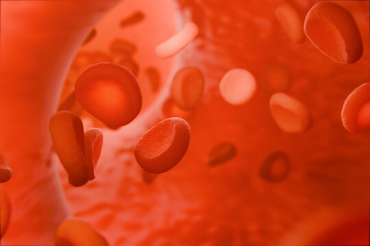 Red blood cells flowing through blood vessel