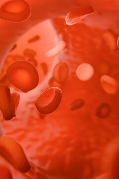 Red blood cells flowing through blood vessel