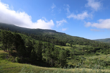 Naklejka premium Visit Colfax County New Mexico.