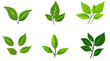 Collection of Green Leaves (1)