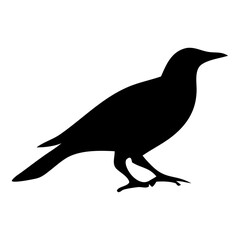 Flying Bird Silhouette – Black Vector Illustration of Bird in Flight