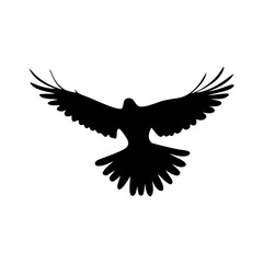 Naklejka premium Flying Bird Silhouette – Black Vector Illustration of Bird in Flight