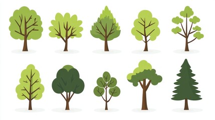 Spring Trees Illustration Collection (1)