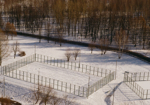 Snow-covered sports field surrounded by trees in a winter landscape