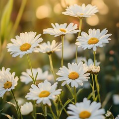 Obraz premium Charming Bunch of White Flowers with Bright Yellow Centers Blooming in Lush Green Garden Setting
