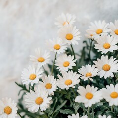 Beautiful Bunch of Delicate White Flowers with Vibrant Yellow Centers Creating a Fresh Natural Vibe