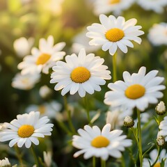 Fototapeta premium Beautiful Bunch of White Flowers with Bright Yellow Centers Creating a Fresh and Cheerful Atmosphere