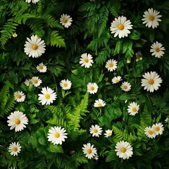 Fototapeta premium A Vibrant Field of White Daisies Under a Clear Blue Sky Evoking Joy and Tranquility in Nature