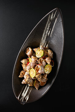 Closeup of conch salad
