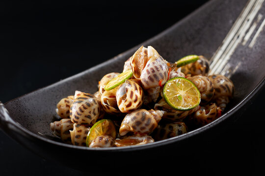 Closeup of conch salad