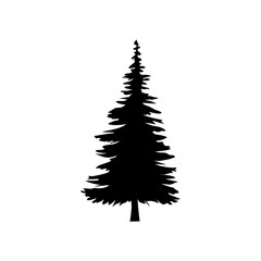 Obraz premium pine tree silhouette