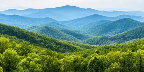Fototapeta premium Lush Green Mountainscape Breathtaking View of Rolling Hills and Forests