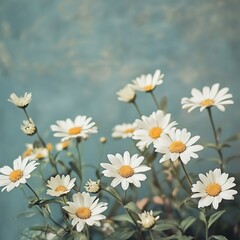 Obraz premium Bright White Daisies Blooming in Lush Green Field Under Clear Blue Sky Evoking Joy and Freshness
