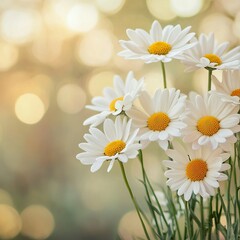 Fototapeta premium Elegant White Daisies in a Glass Vase with Bright Yellow Centers Enhancing a Cheerful Floral Arrangement