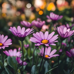 Obraz premium Vibrant Purple Flowers Blooming in Lush Green Garden Creating a Colorful and Tranquil Atmosphere