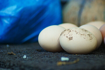 close up, white chicken eggs just laid by the hen, white eggs from farm chickens, on a black carpet