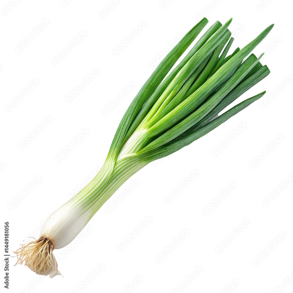 Poster Fresh spring onion with green tops and white base is displayed against transparency background, showcasing its vibrant colors and crisp texture