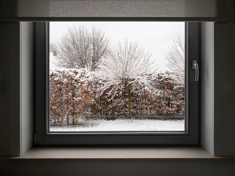 snowy garden