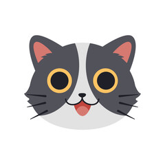 face cute cat illustration