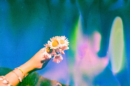 colorful psychedlic film photos of wildflowers held against blue sky