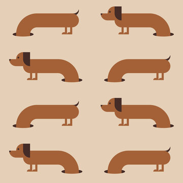 Seamless pattern with dachshunds climb through burrows